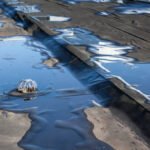 Flat Roof Repair