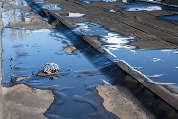 Flat Roof Repair