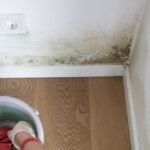 mold remediation los angeles