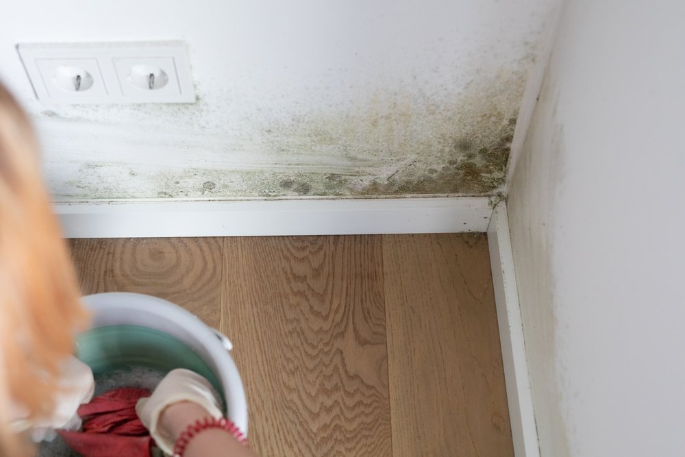mold remediation los angeles