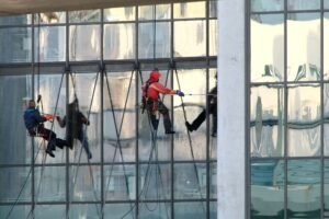 rofessional window cleaners