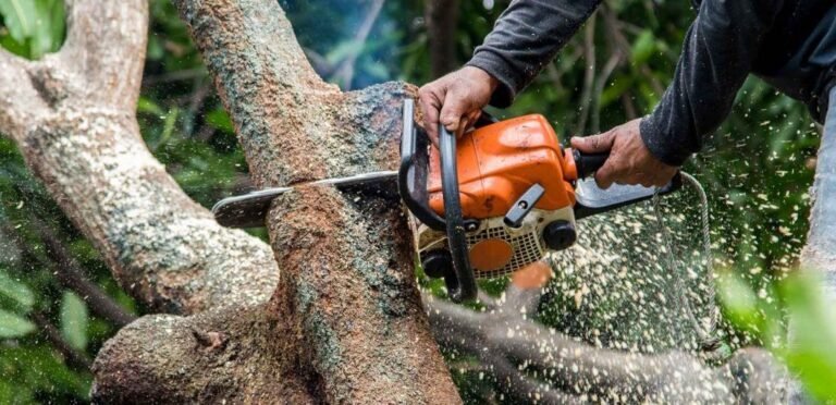 Tree Surgery