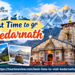 Tour To Review travel logo with global travel destinations and tourism design