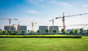 Kingswood Landscape Brings Lasting Value Through Professional Landscape Construction