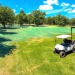residential hydroseeding near me