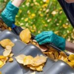gutter cleaning service near me
