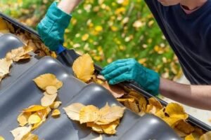 gutter cleaning service near me