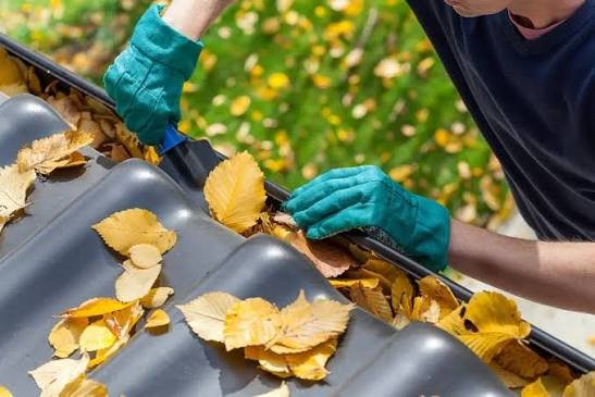 gutter cleaning service near me