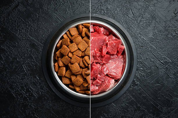 istockphoto-2242174119-612x612