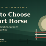sport-horse-blog-1200x630