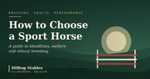sport-horse-blog-1200x630